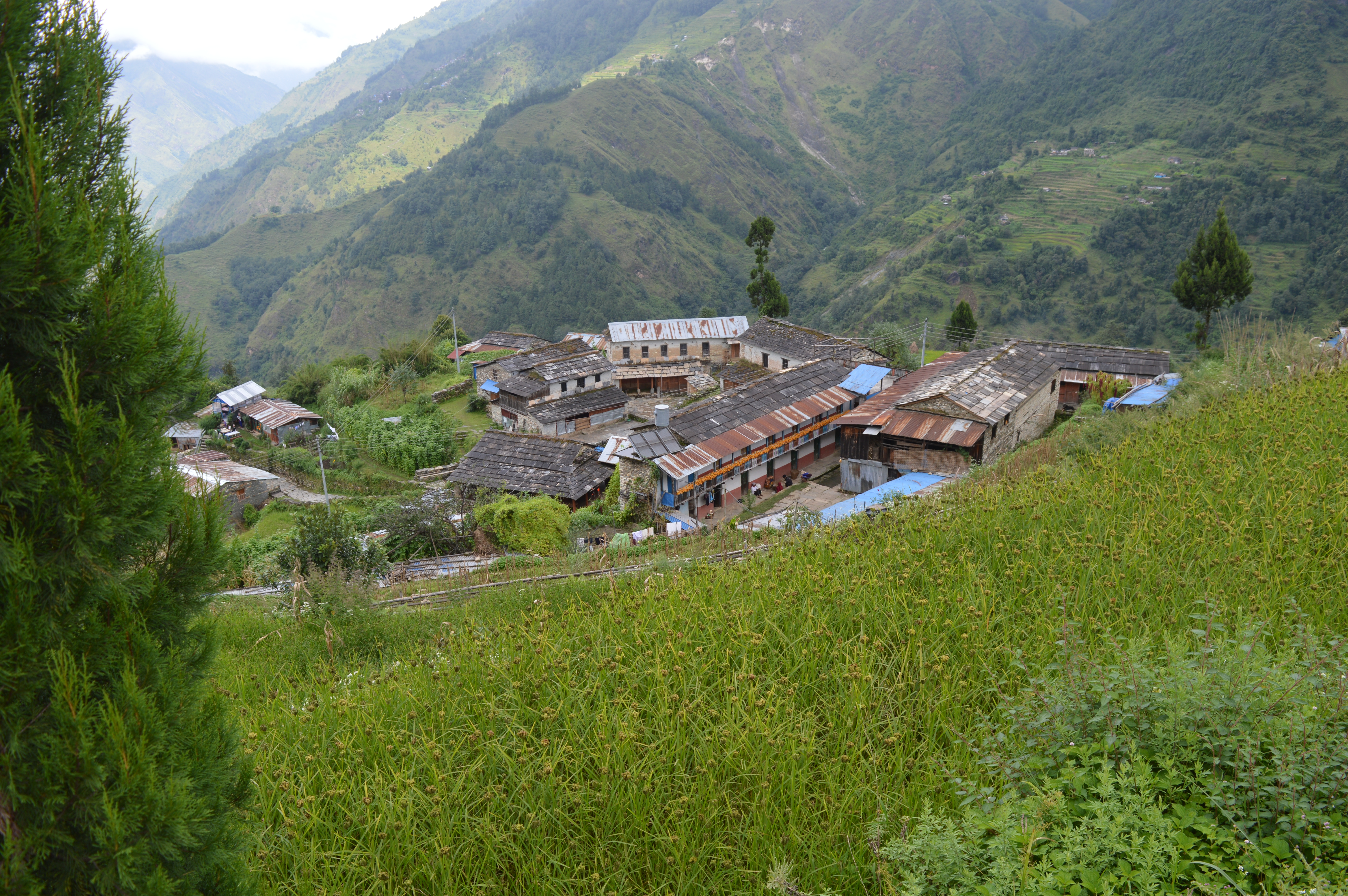Aerial view of Shikha with terraced fields
